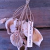 Workshop hergebruikt materiaal - Afbeelding 4