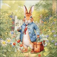 Mister Rabbit