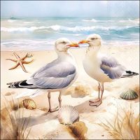Seagulls in love