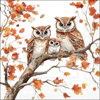 Family of owls