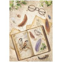 Stamperia Rice Paper A4 – All Around Book