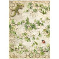 Stamperia Rice Paper A4 – All Around Ivy