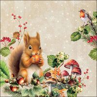 Fruit collector